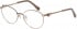 Ted Baker TB2243 glasses in Pewter