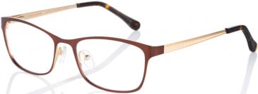 Ted Baker TB2234 glasses in Brown