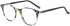 Hackett HEB233 glasses in Cream Tort UTX