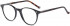 Hackett HEB233 glasses in Black UTX