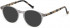 Hackett HEB218 sunglasses in Grey UTX