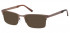 Sunglasses in Brown