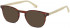Hackett HEB138 Sunglasses in Horn Beige UTX