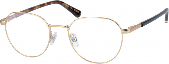 Superdry SDO-SCHOLAR glasses in Gold Black