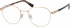 Superdry SDO-SCHOLAR glasses in Gold Black