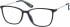 Superdry SDO-LEYA glasses in Black Gold