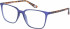 Superdry SDO-LEXIA glasses in Matt Purple Tortoise