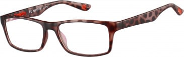 Superdry SDO-KEIJO glasses in Black Tortoise