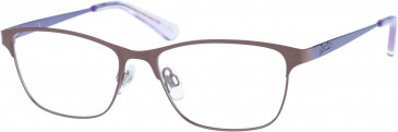 Superdry SDO-ARIZONA glasses in Brown Lilac
