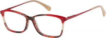 Radley RDO-KEZIA glasses in Red Tortoise