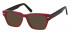 Sunglasses in Burgundy/Black