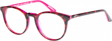 O'Neill ONO-IMMIE glasses in Red Tortoise