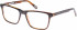 CAT CTO-INLAY glasses in Brown Horn