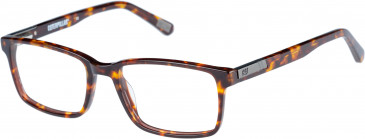 CAT CTO-ENGINEER glasses in Tortoise