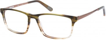 CAT CTO-BULLION glasses in Brown Horn