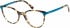 Radley RDO-KAROLINA glasses in Tortoise Teal
