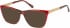 Radley RDO-JANELLA sunglasses in Red Tortoise