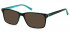 Sunglasses in Black/Clear Turquoise