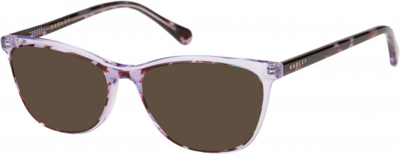 Radley RDO-ROMI sunglasses in Purple Tortoise