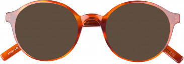 Farah FHO-1008 sunglasses in Amber Stripe
