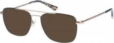 Superdry SDO-REGGIE sunglasses in Black Gold Tortoise