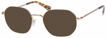 Superdry SDO-TAIKO sunglasses in Gold Tortoise
