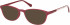 Radley RDO-PAYGE sunglasses in Burgundy Print