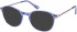 Superdry SDO-BILLIE sunglasses in Purple