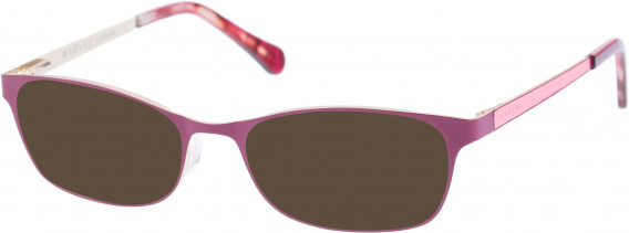 Radley RDO-FELICITY sunglasses in Burgundy Pink