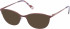 Radley RDO-CAMYLE sunglasses in Purple