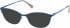 Radley RDO-CAMYLE sunglasses in Teal Brown