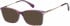 Radley RDO-KEZIA sunglasses in Tortoise Purple