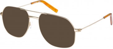 Farah FHO-1014 sunglasses in Gold Amber