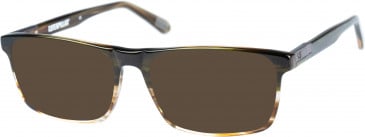 CAT CTO-CONTROLLER sunglasses in Brown Horn