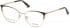 GUESS GU2704 glasses in Dark Brown/Other