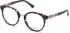 GUESS GU2834 glasses in Violet/Other