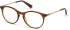 SWAROVSKI SK5365 glasses in Dark Brown/Other