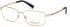 TIMBERLAND TB1648-58 glasses in Pale Gold