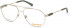 TIMBERLAND TB1668-60 glasses in Pale Gold