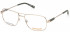 TIMBERLAND TB1676-56 glasses in Pale Gold