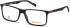 TIMBERLAND TB1650-55 glasses in Shiny Black