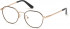 GUESS GU2724 glasses in Black/Other