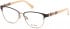 GUESS GU2833 glasses in Dark Brown/Other