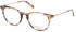 GANT GA4103 glasses in Light Brown/Other