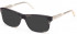 GANT GA3224 sunglasses in Grey/Other