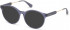 GUESS GU2719 sunglasses in Shiny Blue