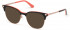 GUESS GU2798-51 sunglasses in Black/Other