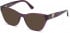 GUESS GU2828-51 sunglasses in Violet/Other