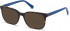 GUESS GU50021-53 sunglasses in Dark Havana