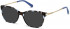 SWAROVSKI SK5350-53 sunglasses in Coloured Havana/Smoke